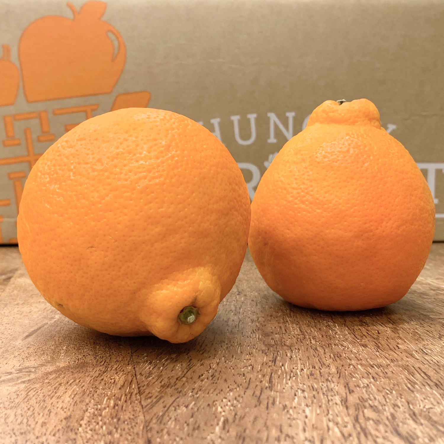 oranges (2).jpg