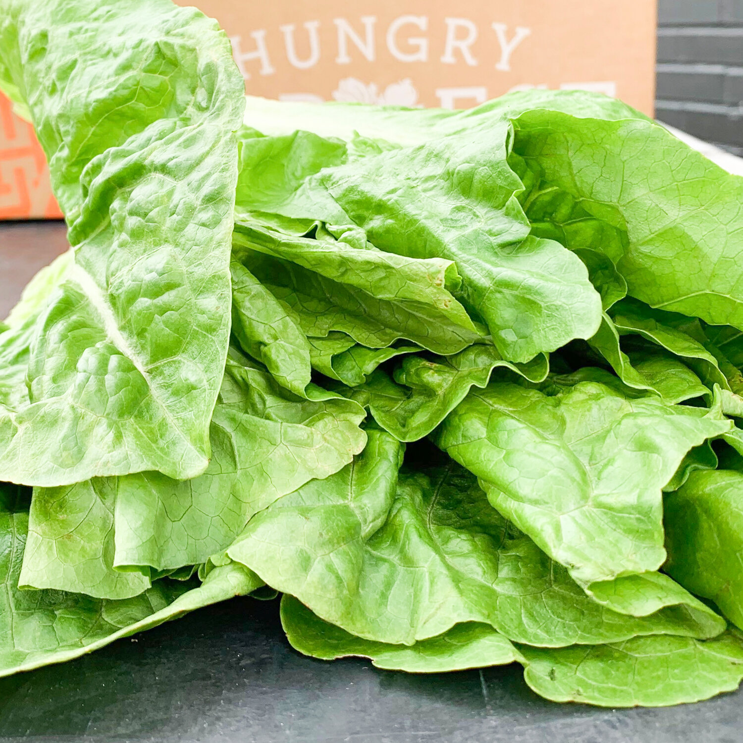 lettuce (4).jpg