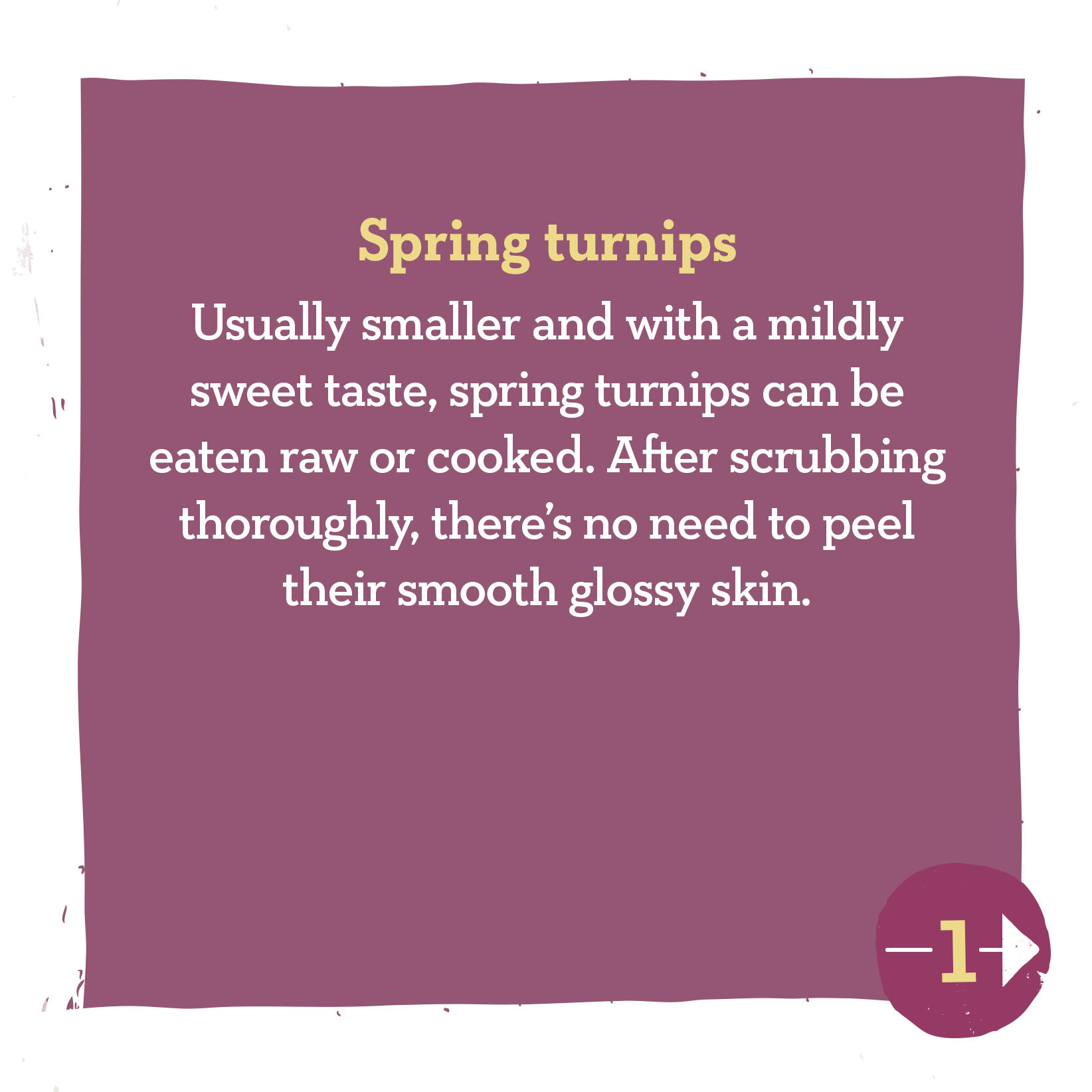 Turnip Tips- 1.jpg