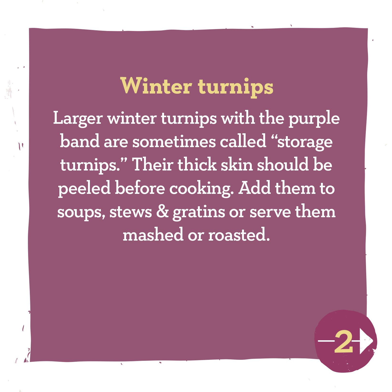 Turnip Tips- 2.jpg