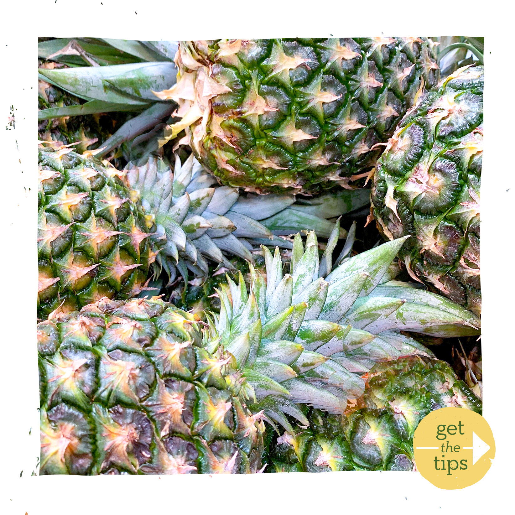 1pineappletips-cover.jpg