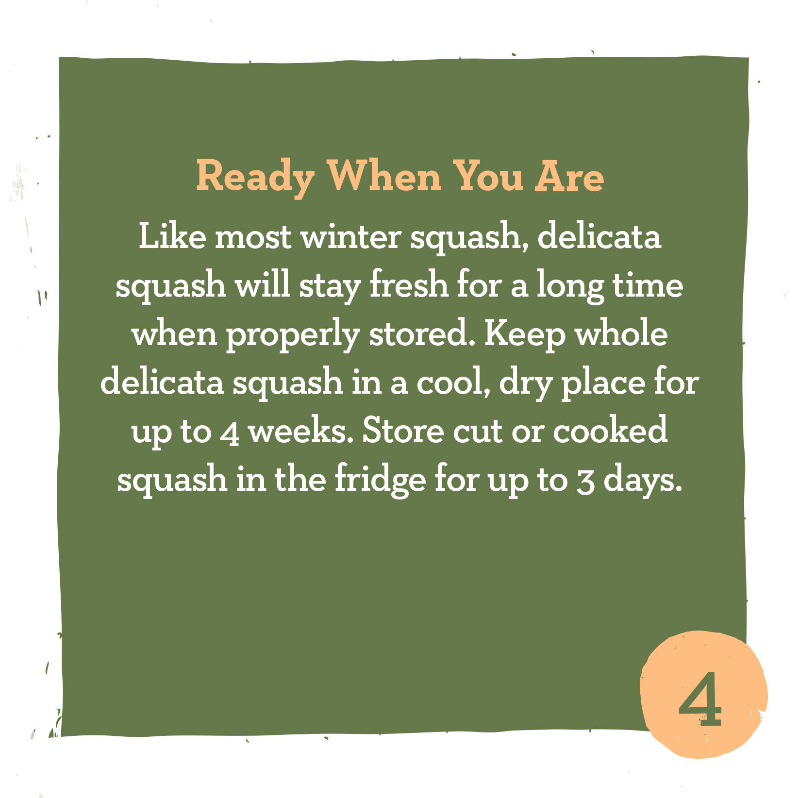 squash tips 4.jpg