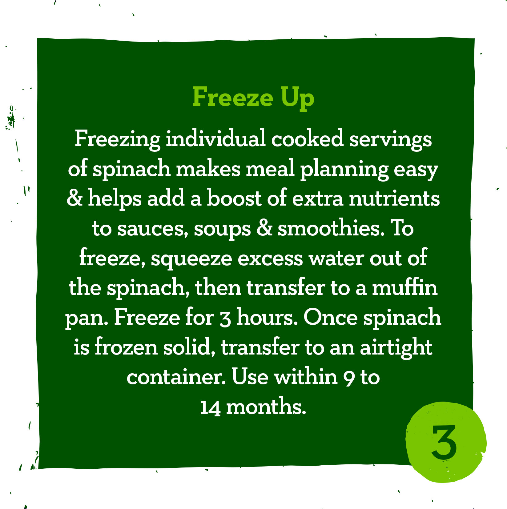 spinach3.jpg