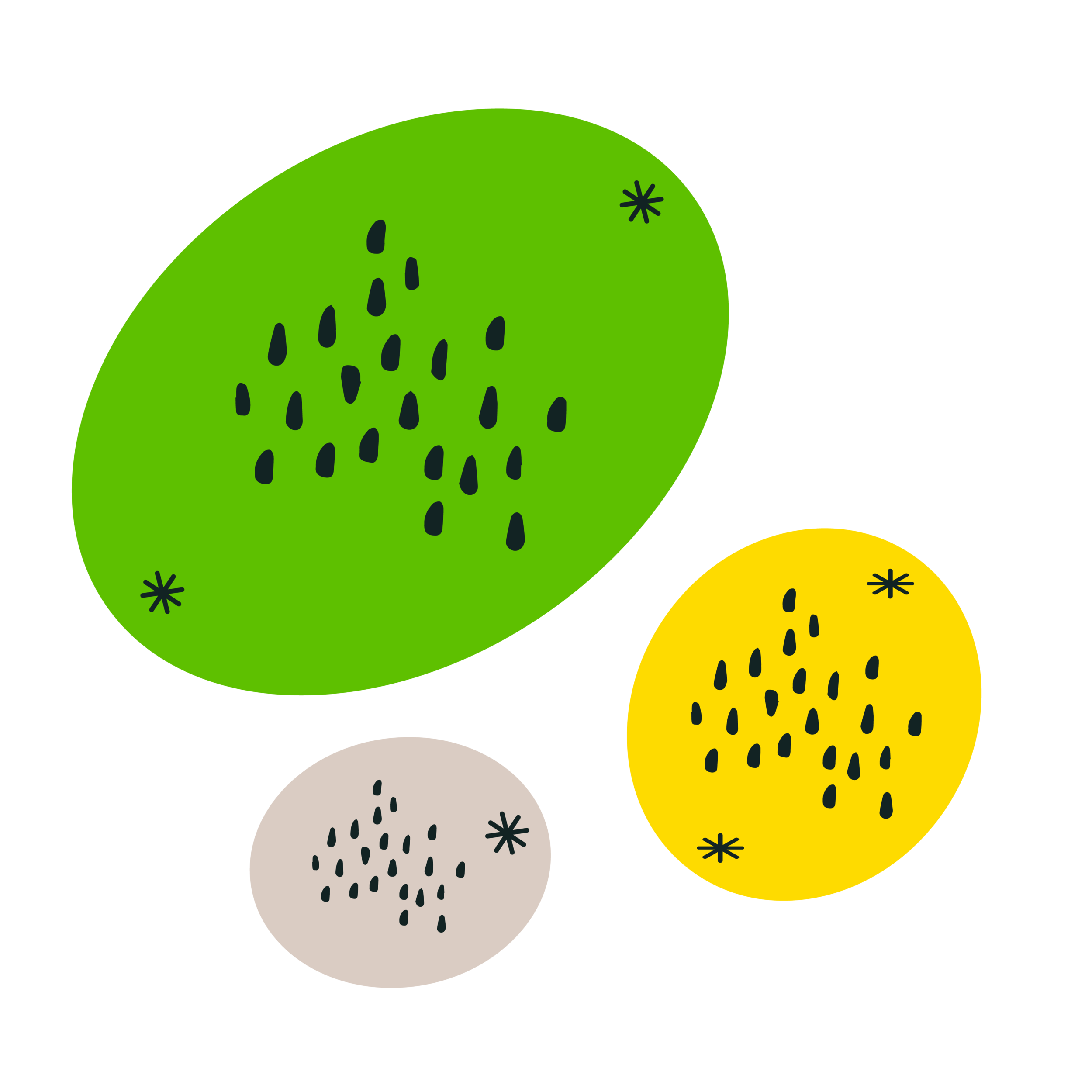 Melons