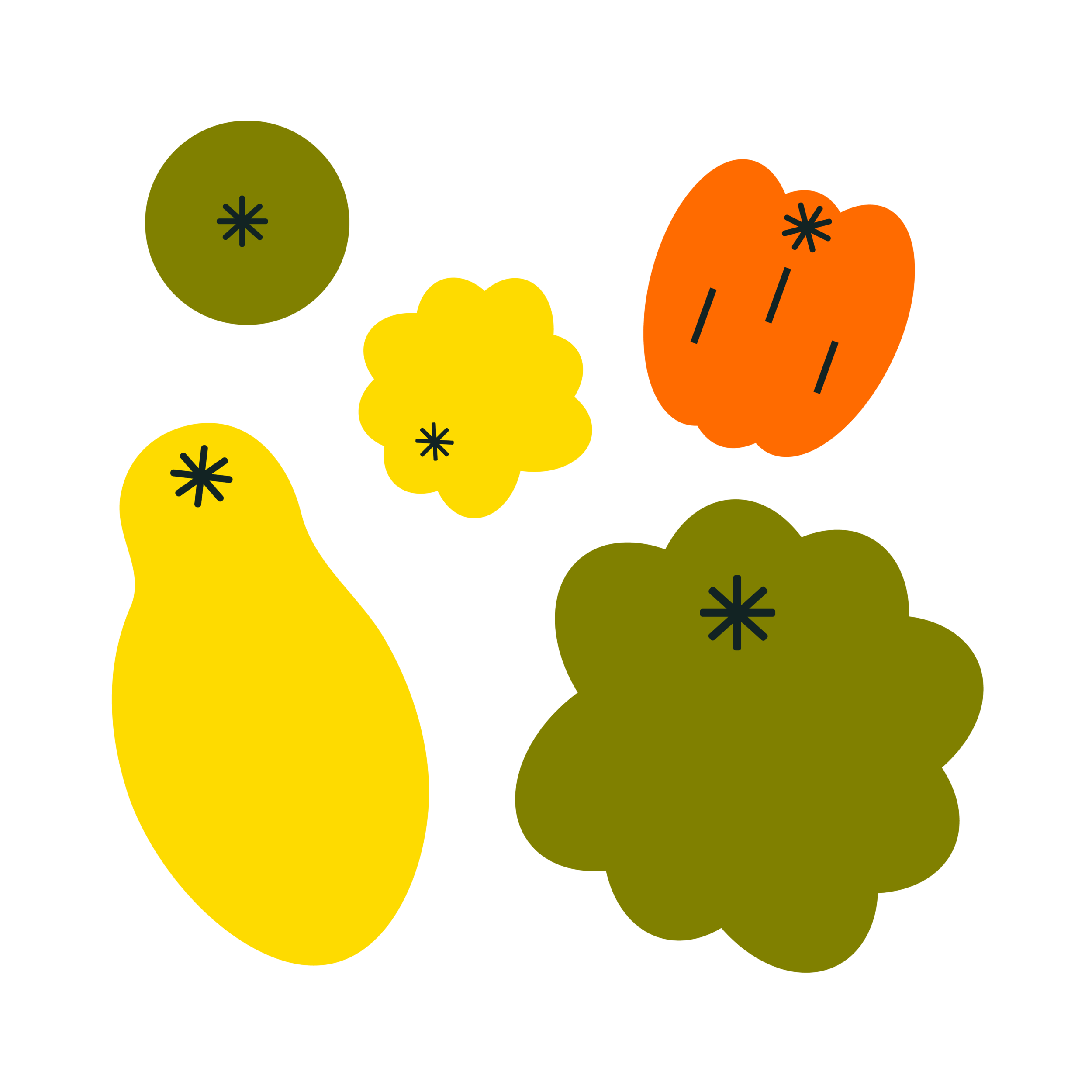 Winter Squash