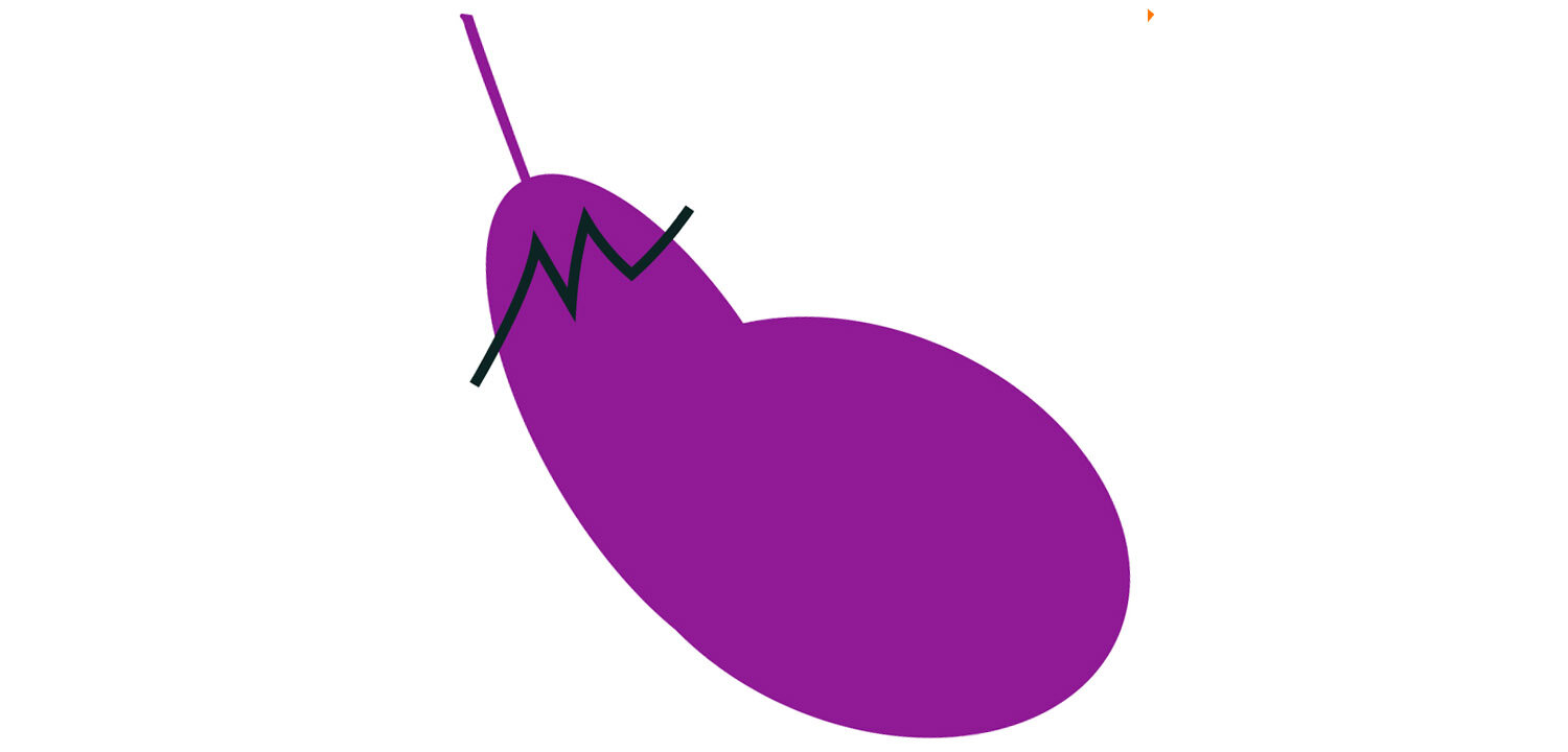 eggplant4.jpg
