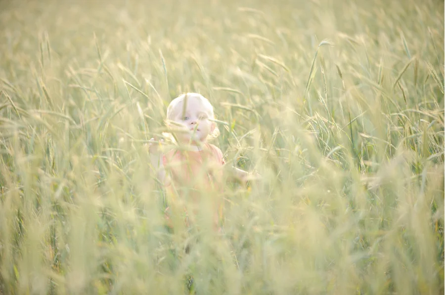 Florida Wheat Field Family Portrait Photography