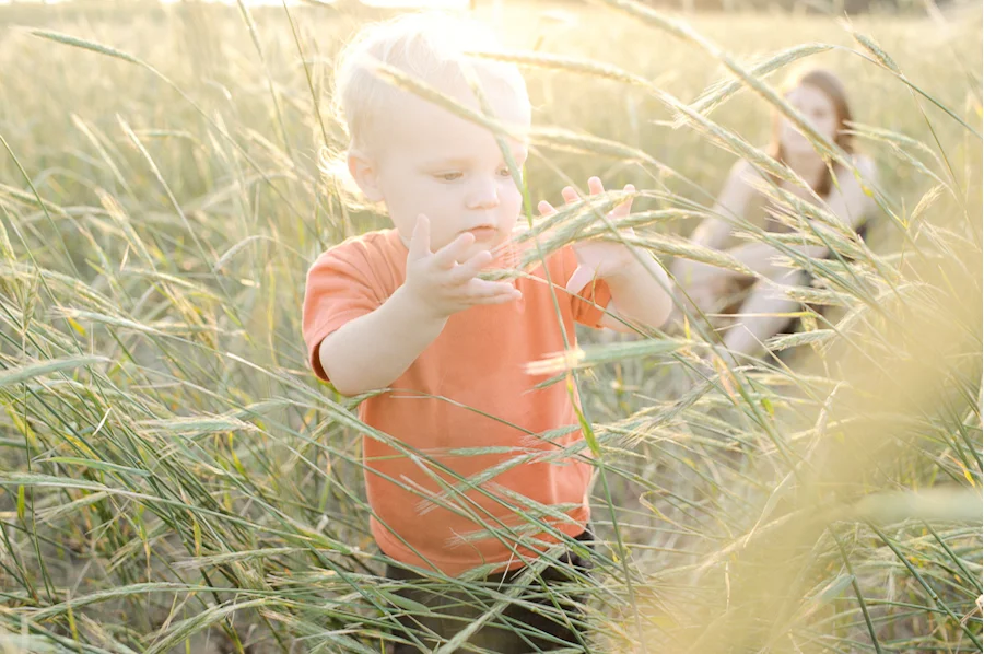 Florida Wheat Field Family Portrait Photography