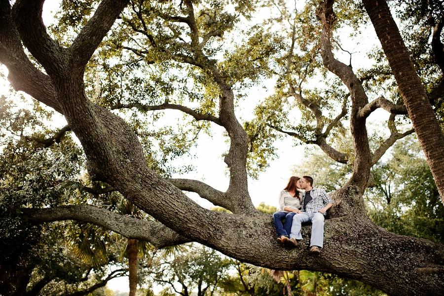 Love in an Oak Tree