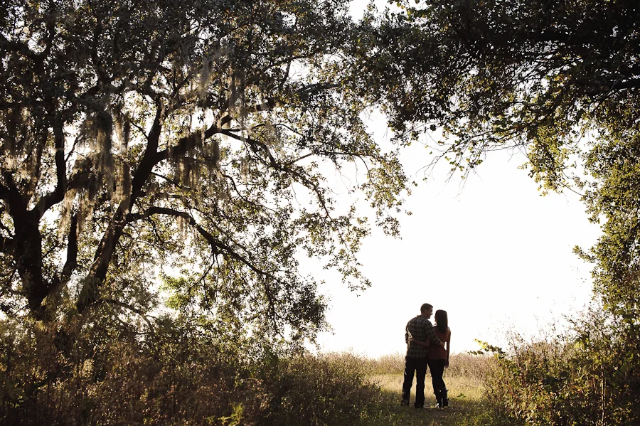 November Light Engagement Session | Lakeland, FL | Golden Field