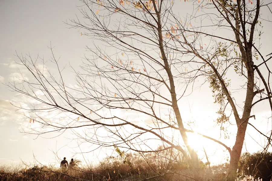 November Light Engagement Session | Lakeland, FL | Golden Field