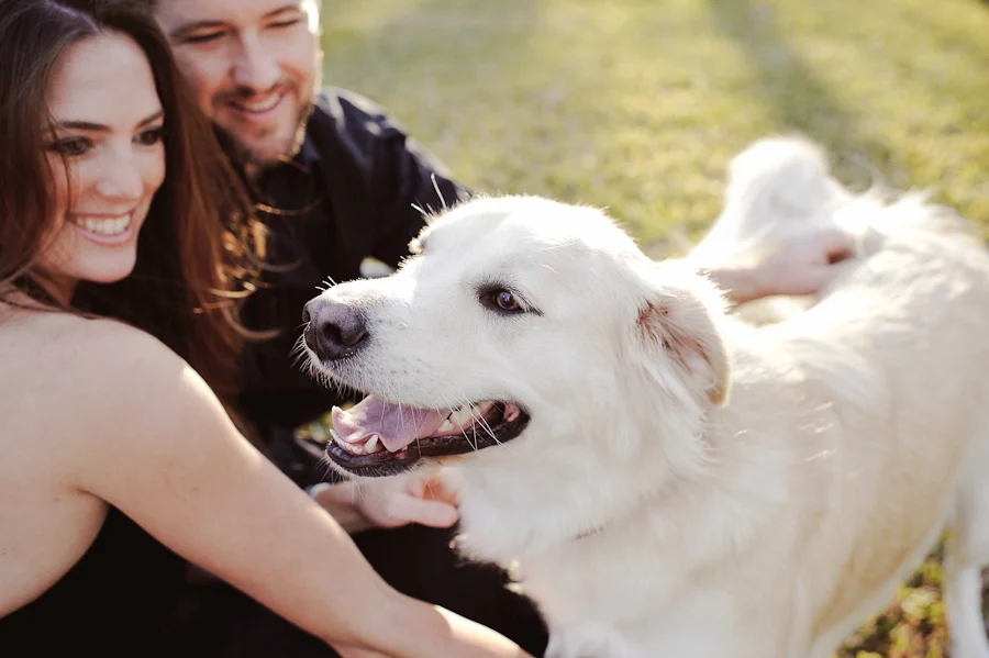 Engagement session with dog | Daytona Beach Wedding Photography