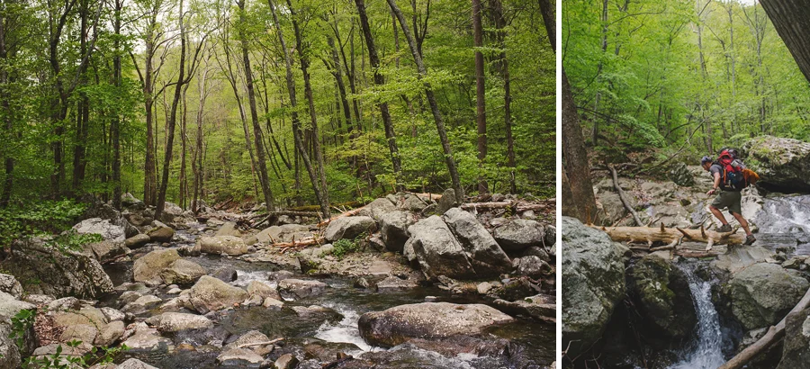 fuji, x100, appalachian trail, shenandoah national park, backpacking