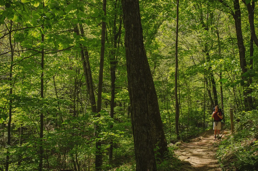 fuji, x100, appalachian trail, shenandoah national park, backpacking