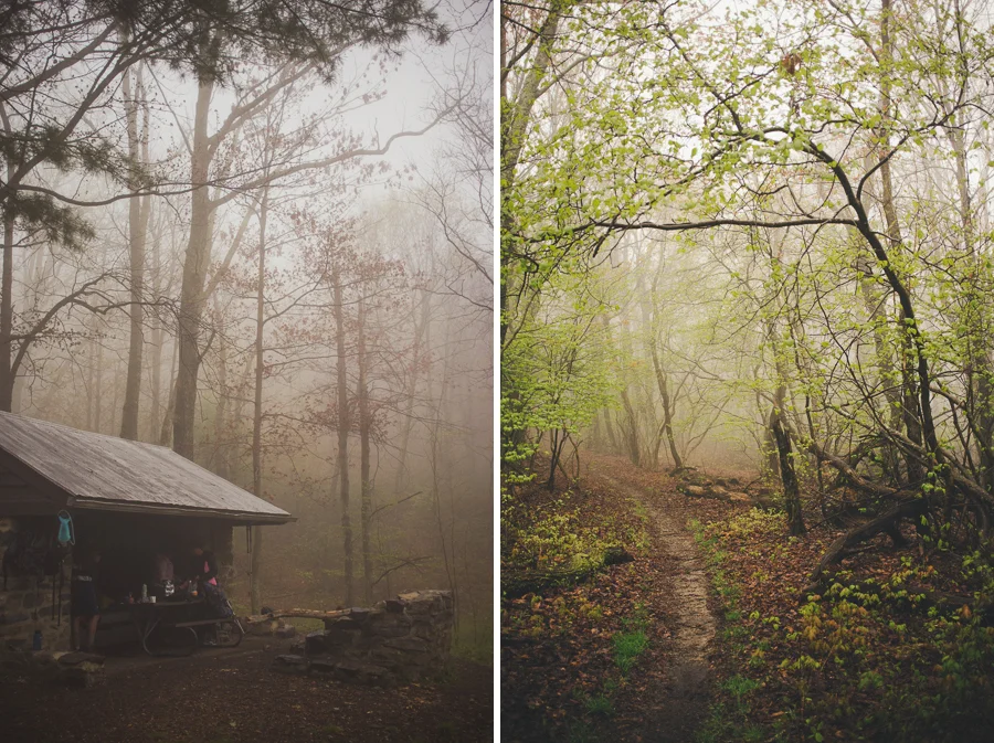 fuji, x100, appalachian trail, shenandoah national park, backpacking