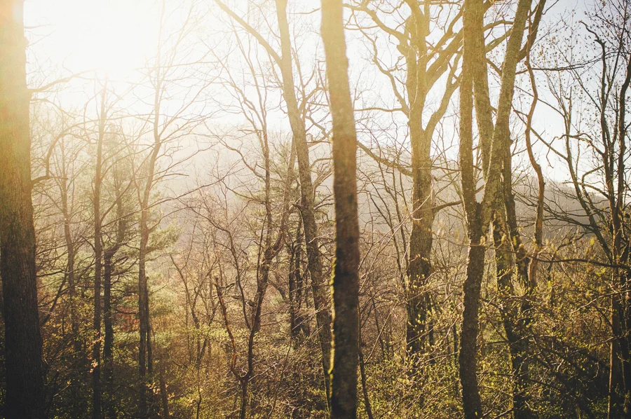 fuji, x100, appalachian trail, shenandoah national park, backpacking