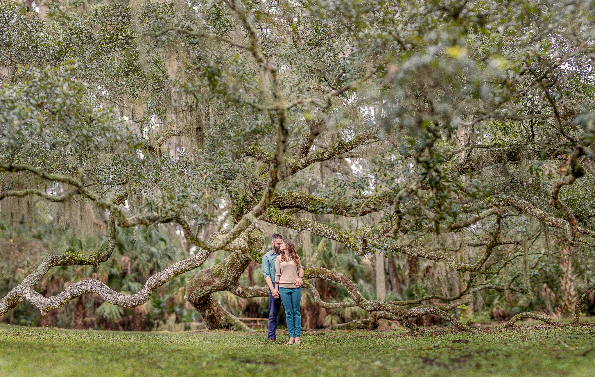 old tree ormond beach nathan kayla