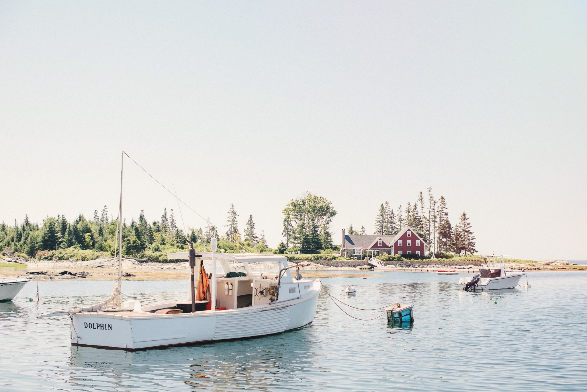 maine wedding photographer