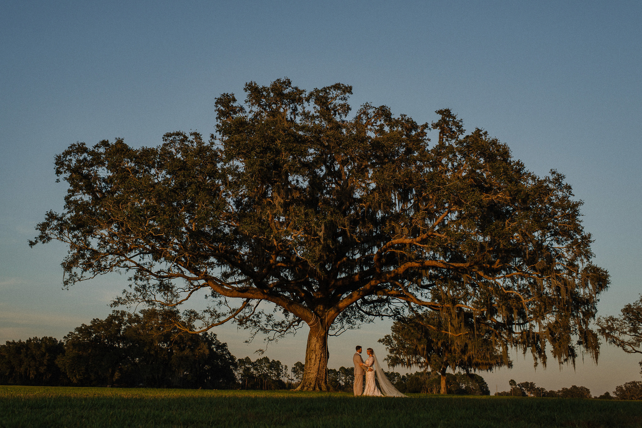 Florida Countryside Wedding Giant Oak Tree