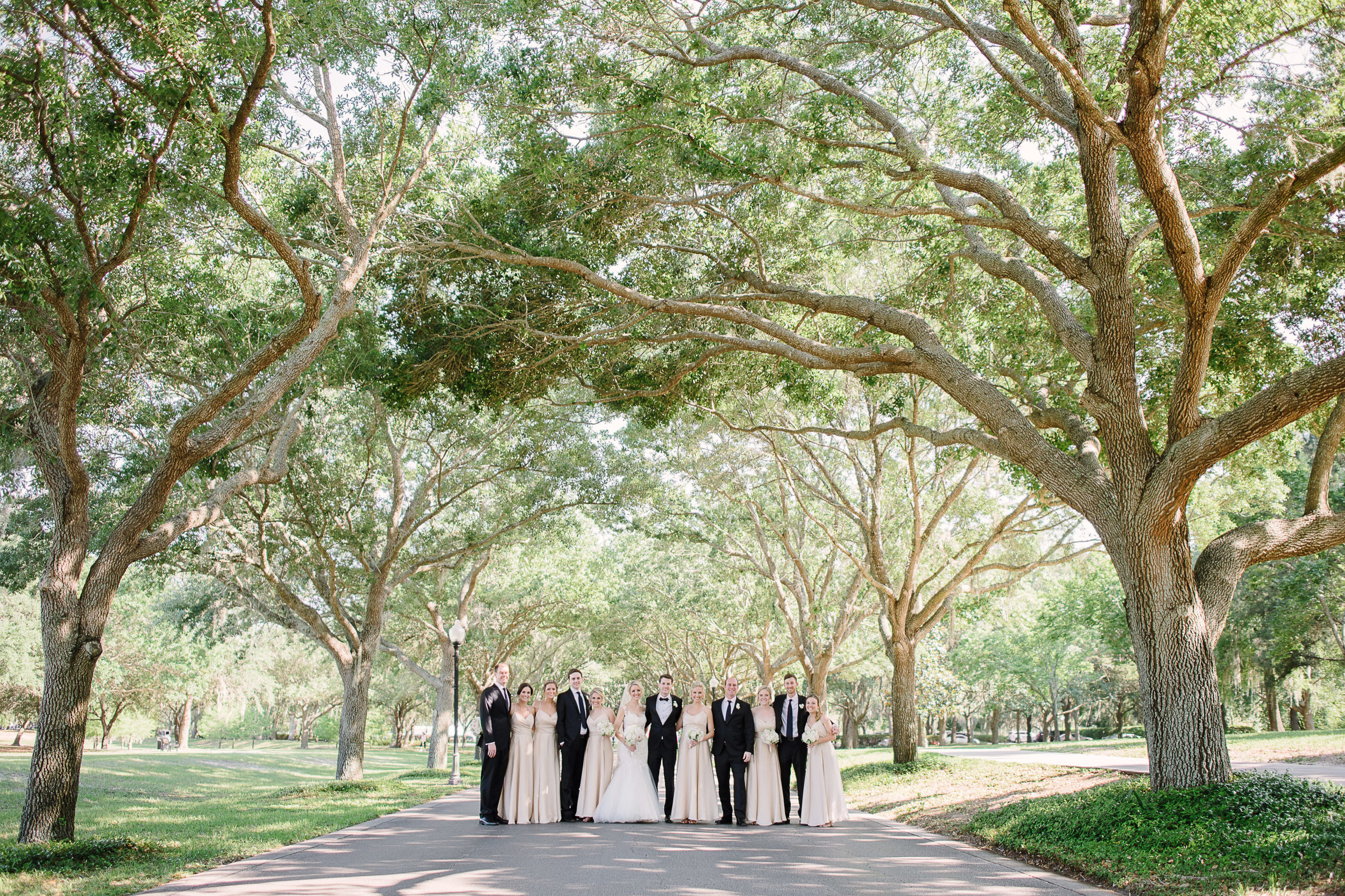 Giant Oak Tree Lined Street Wedding