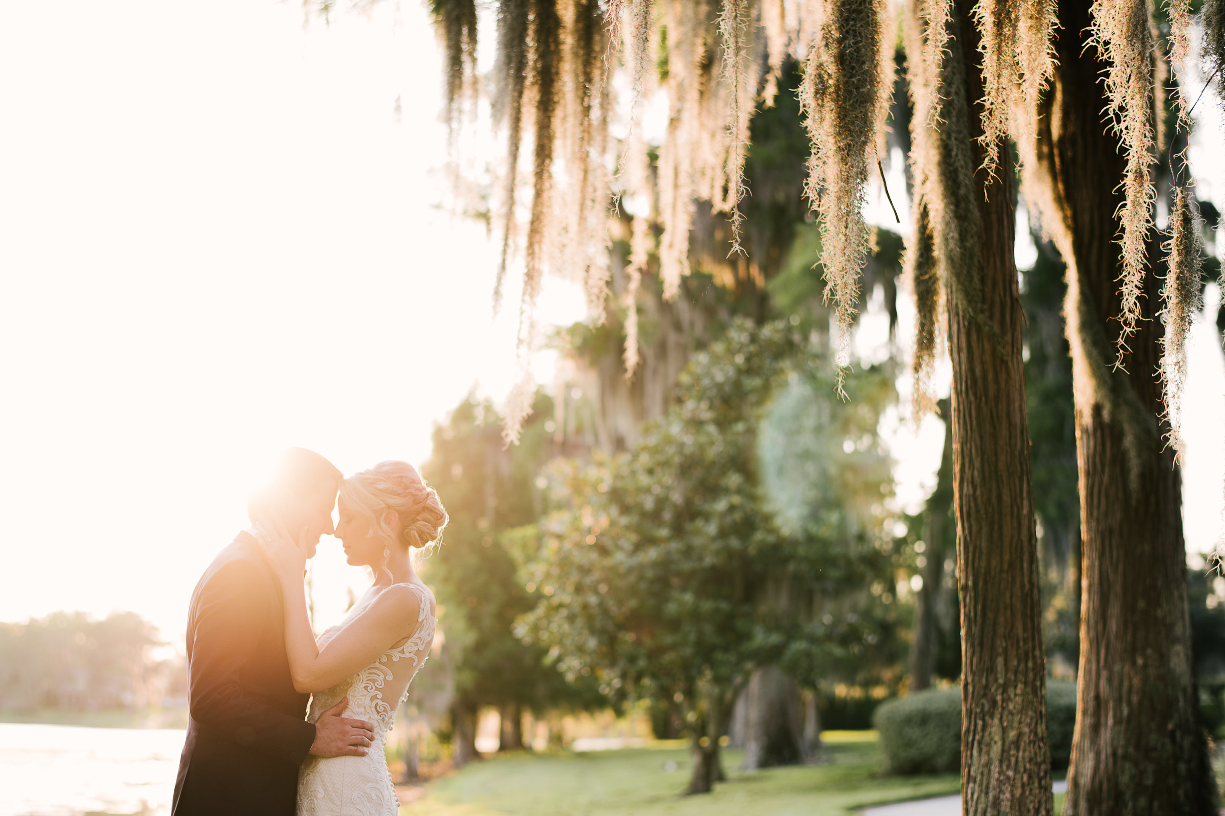 Mossy Cypress Trees Wedding