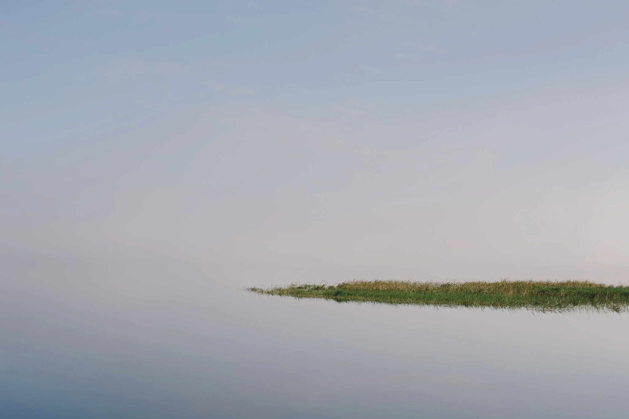 Open Field Engagement Session Lake Louisa State Park