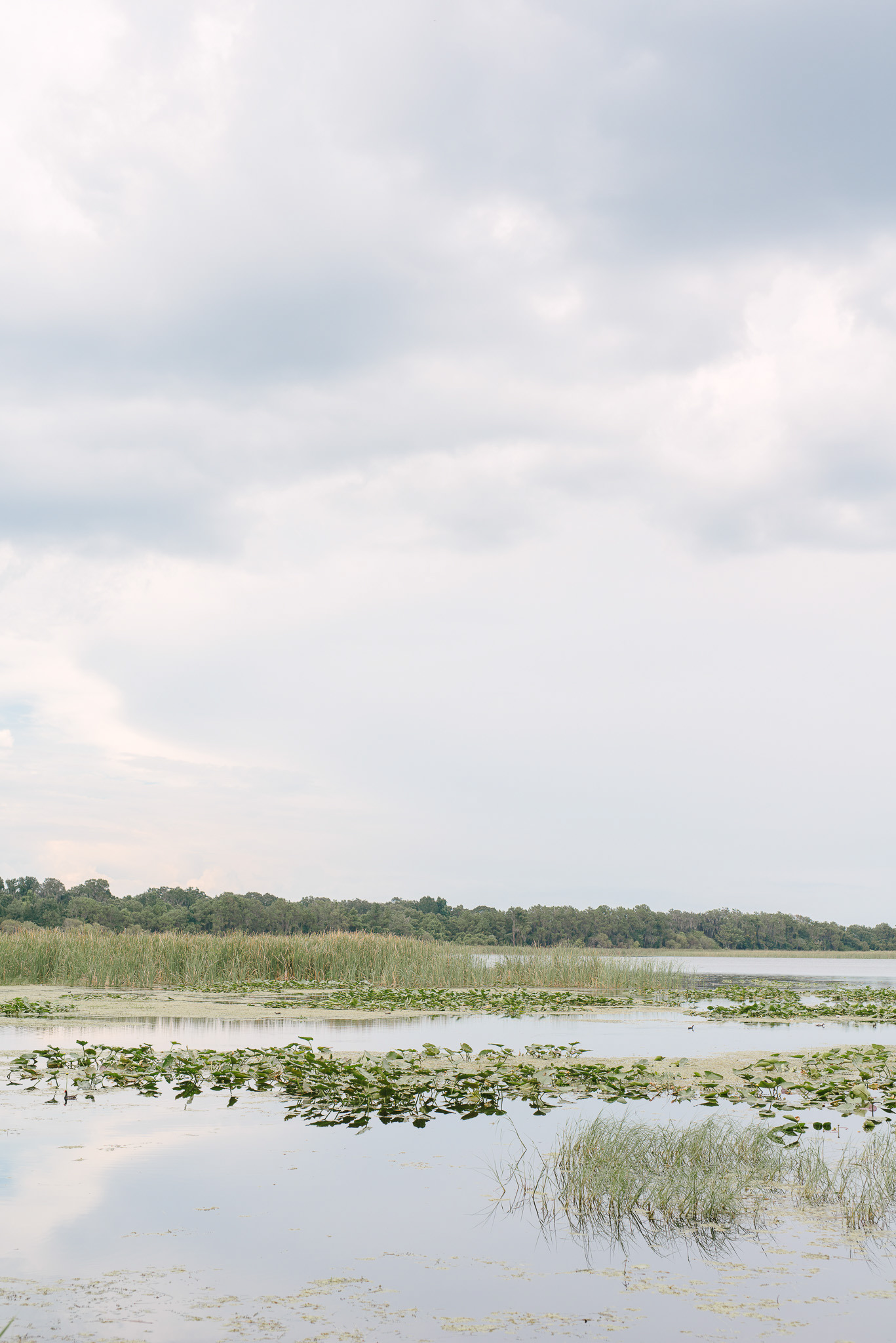 Fun Lake Side Engagement Session