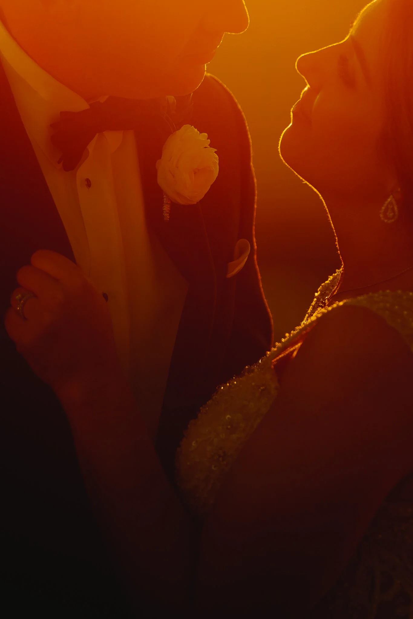 20190119_Wedding_LayneBurns_611_web.jpg