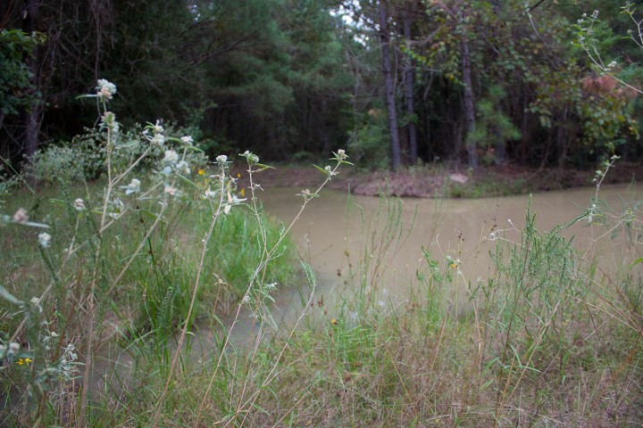 Pond