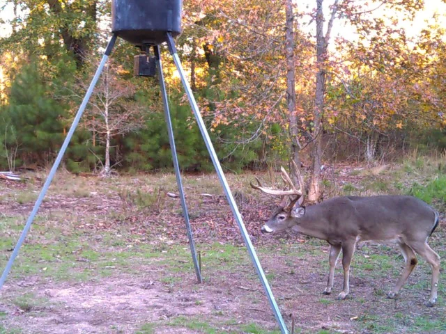 Hunting Services Pricing Davis 5 Ranch