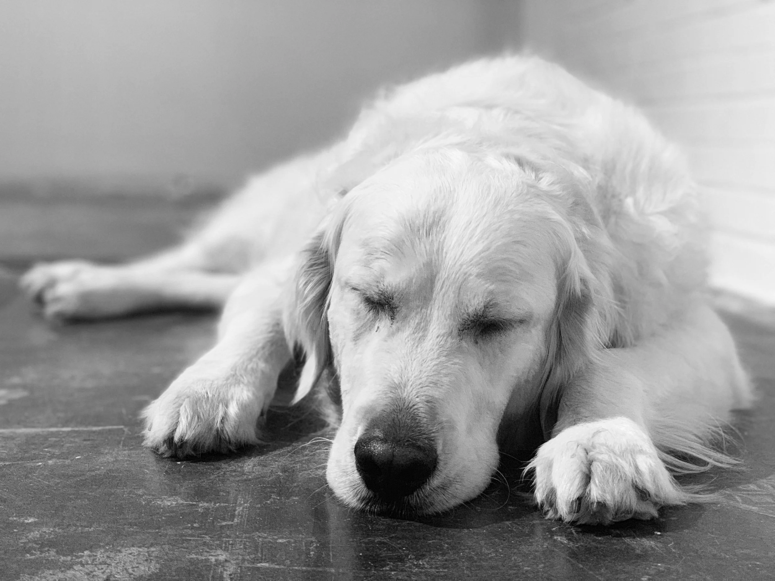 Church sleeping.jpg