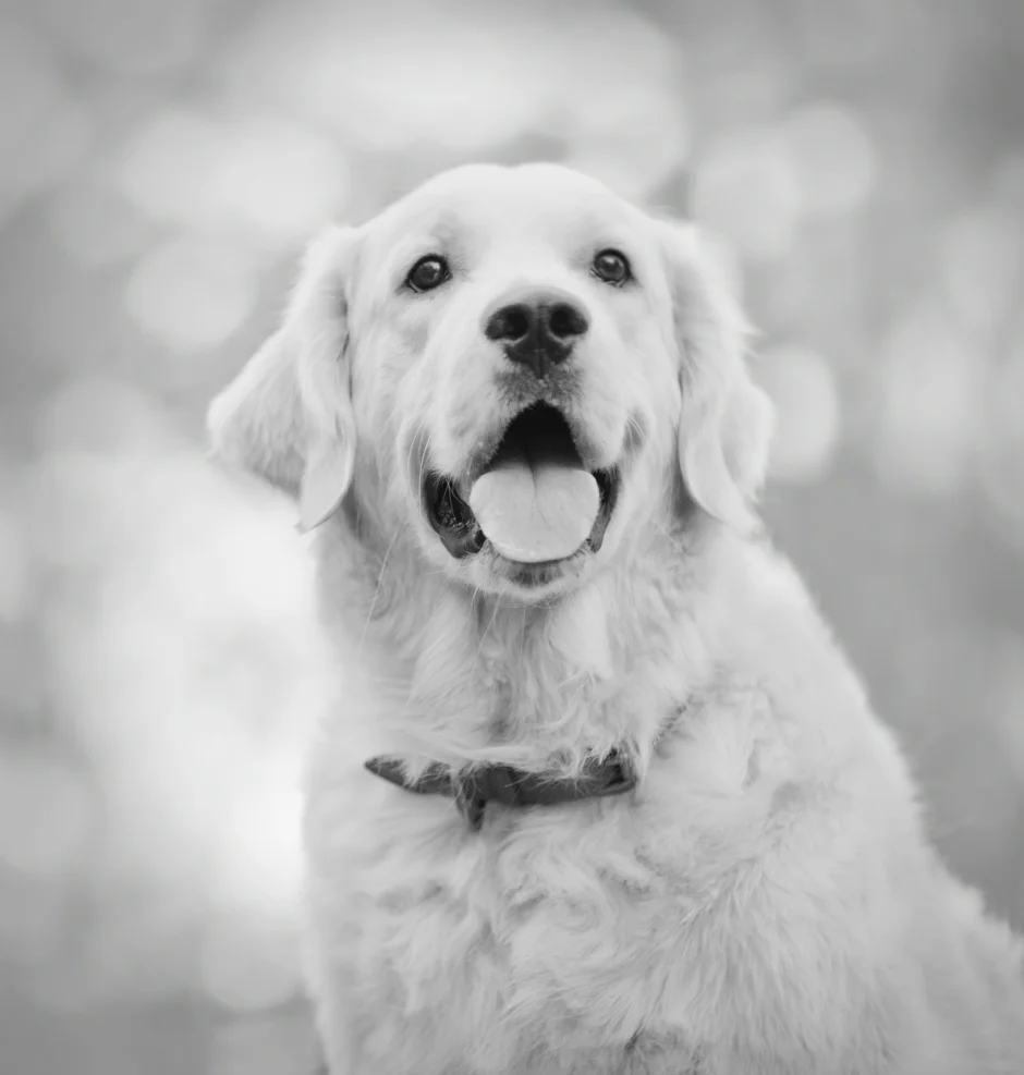 Church Headshot White.jpg