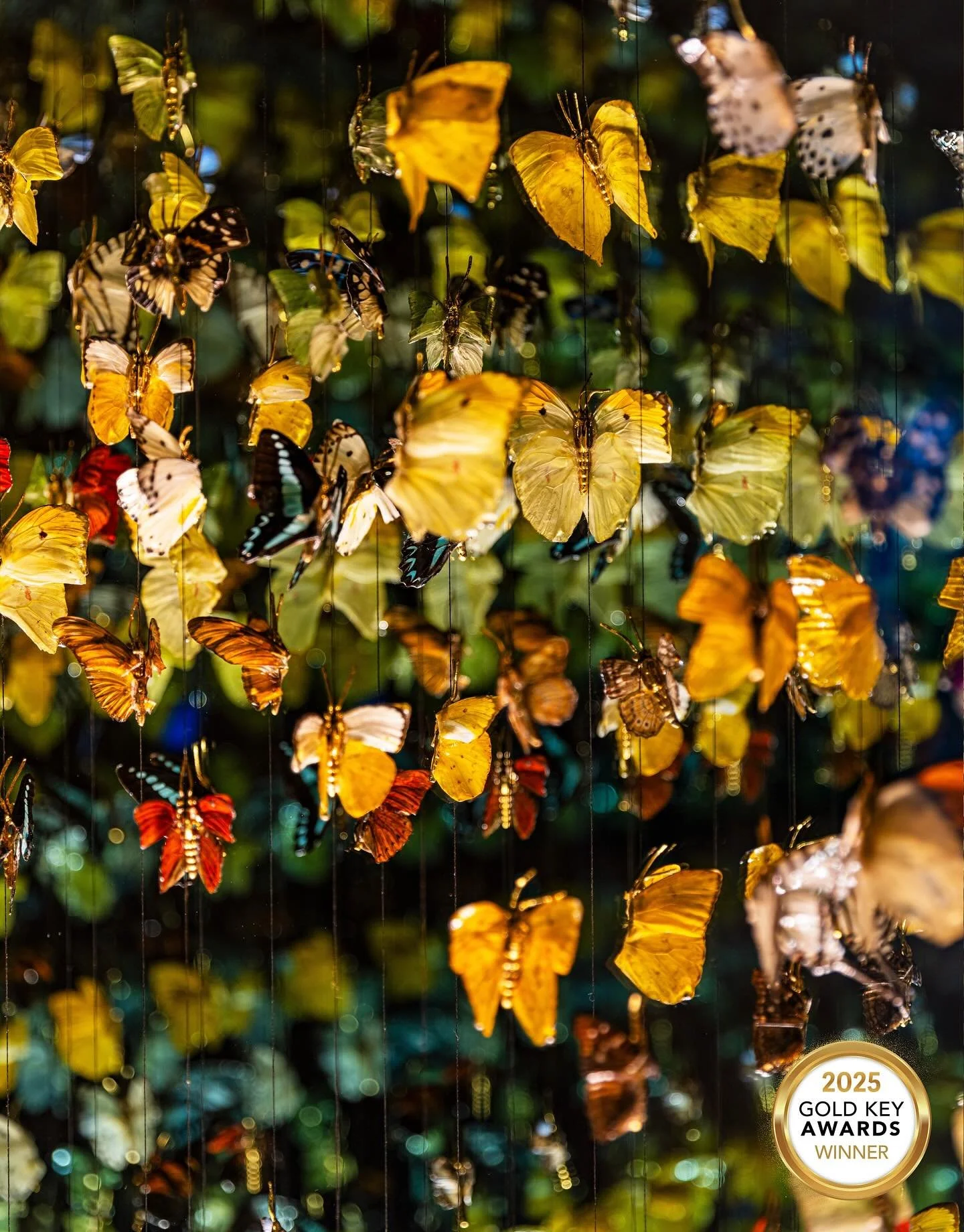 Lost in the details of this butterfly art installation at @waustin