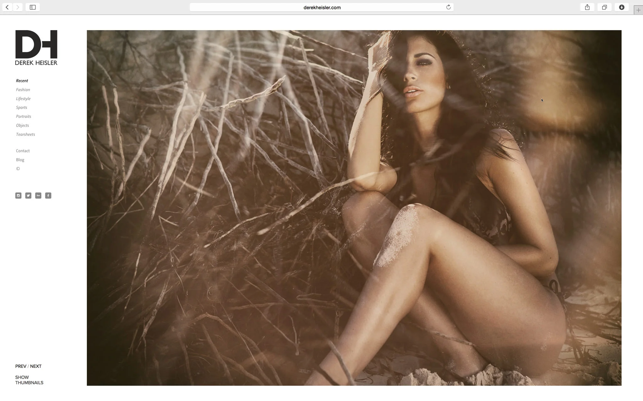Full screen images. Or full gallery view. You browse the site as you like.