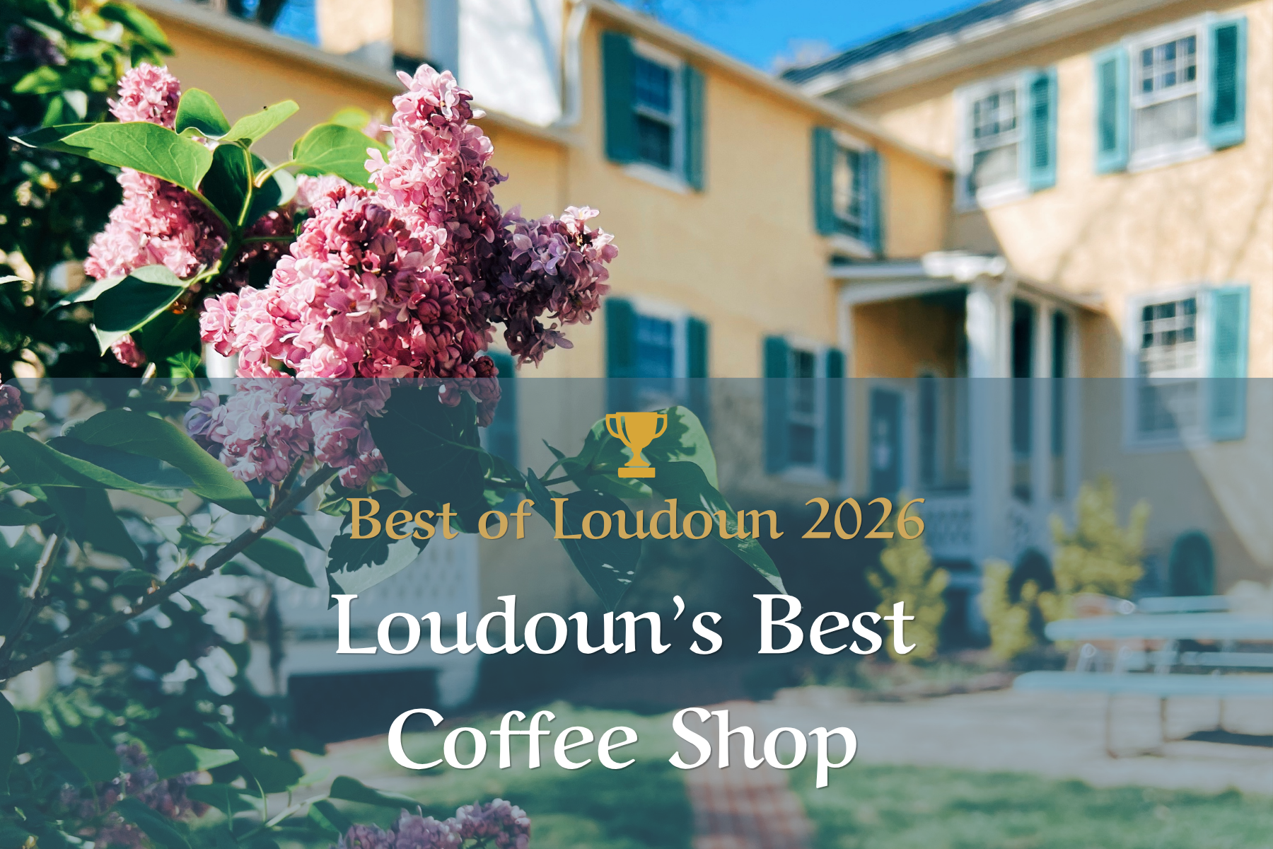 Copy of Loudoun’s Best Coffee Shop (6 x 4 in).png