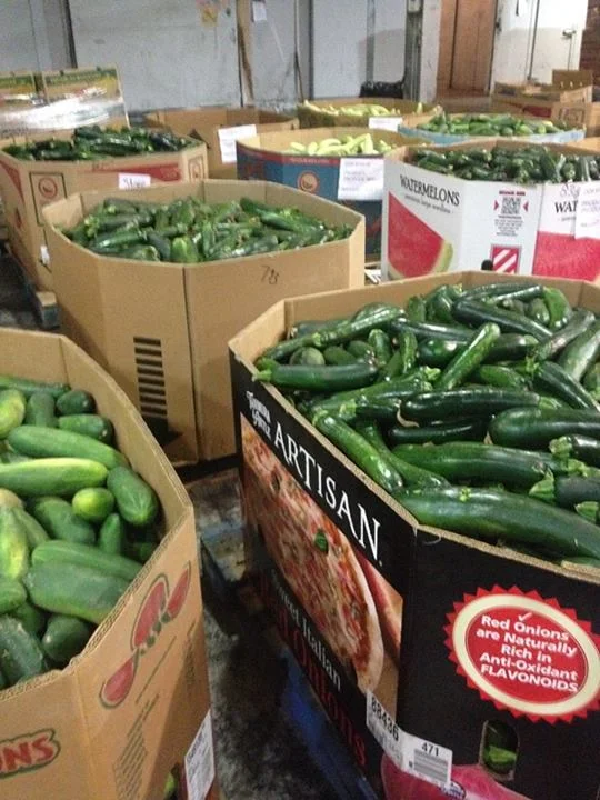 Cucumbers and corn are a great addition to the food boxes provided to needy households.