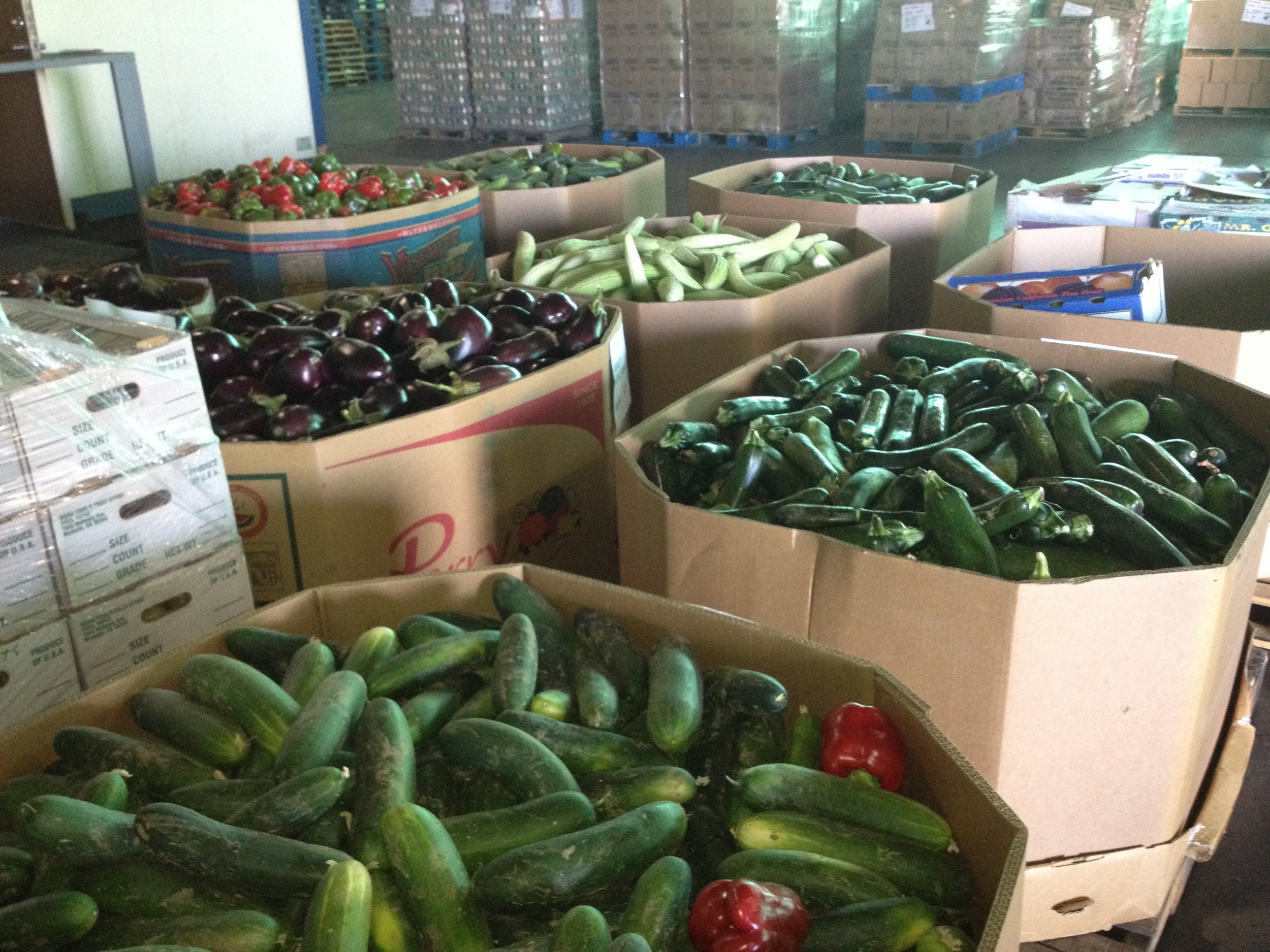 FreshFoodBins.jpg