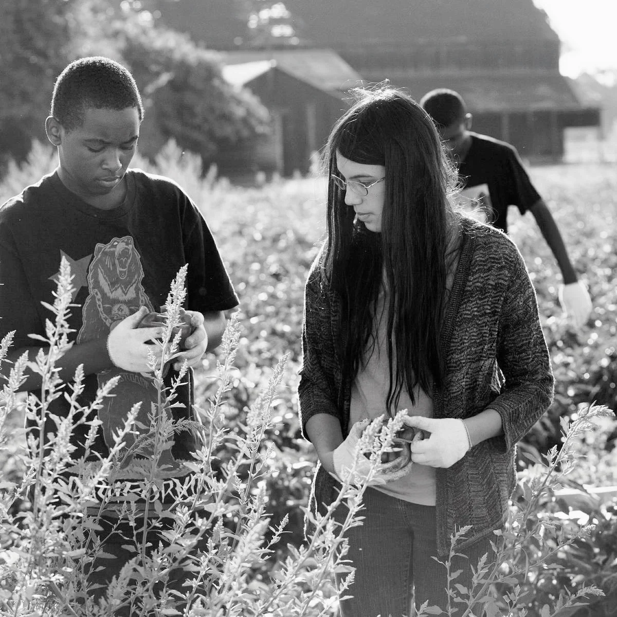 High School Students Help California's Hungry