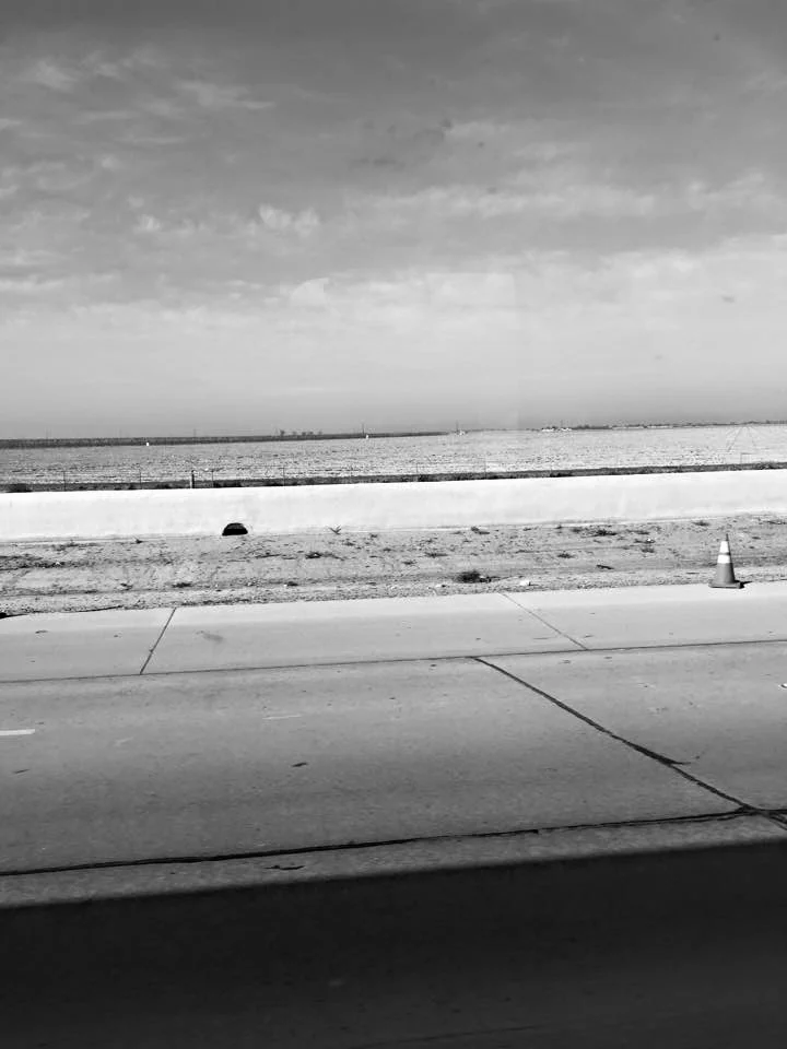 Foodlink's Drought Disaster Response