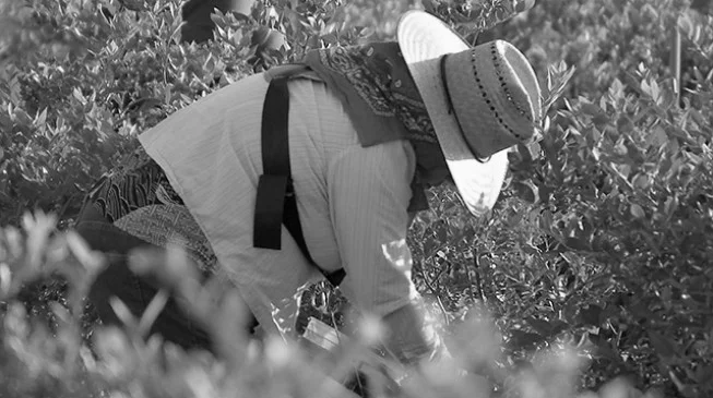 Interview with Director Sarah Ramirez