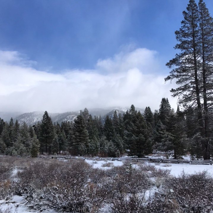 Snow crunching underfoot. Wind shaking powder from the branches. Neighbors saying hi, hello. If I could sum up this morning with one word it would be: aaaahhh ☺️