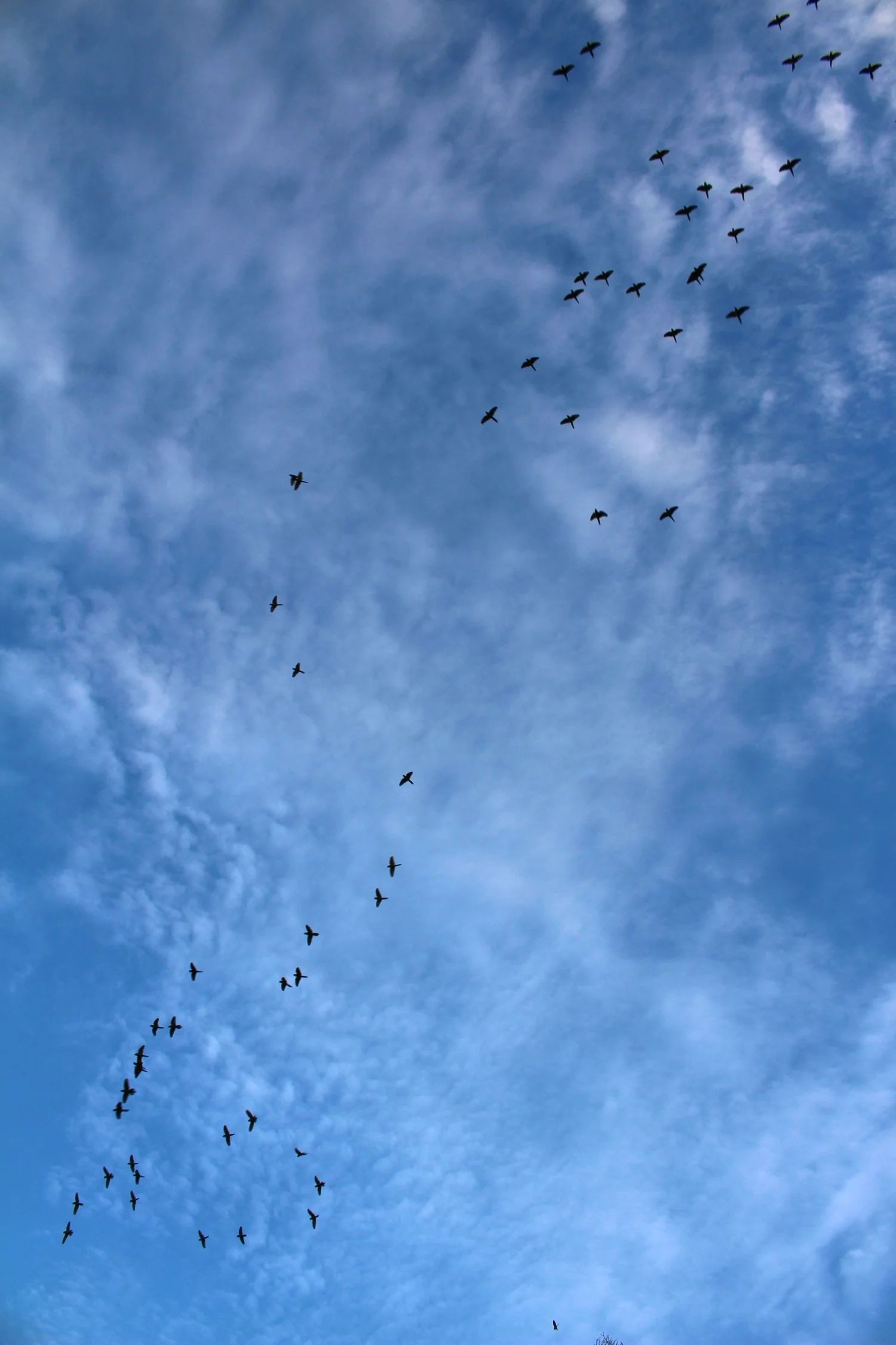 The sky that day