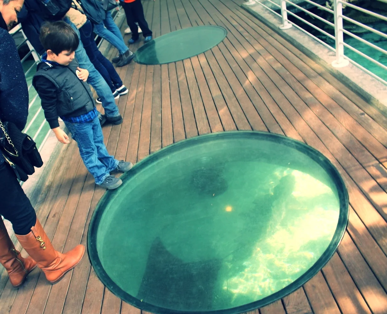 He loves watching rays.