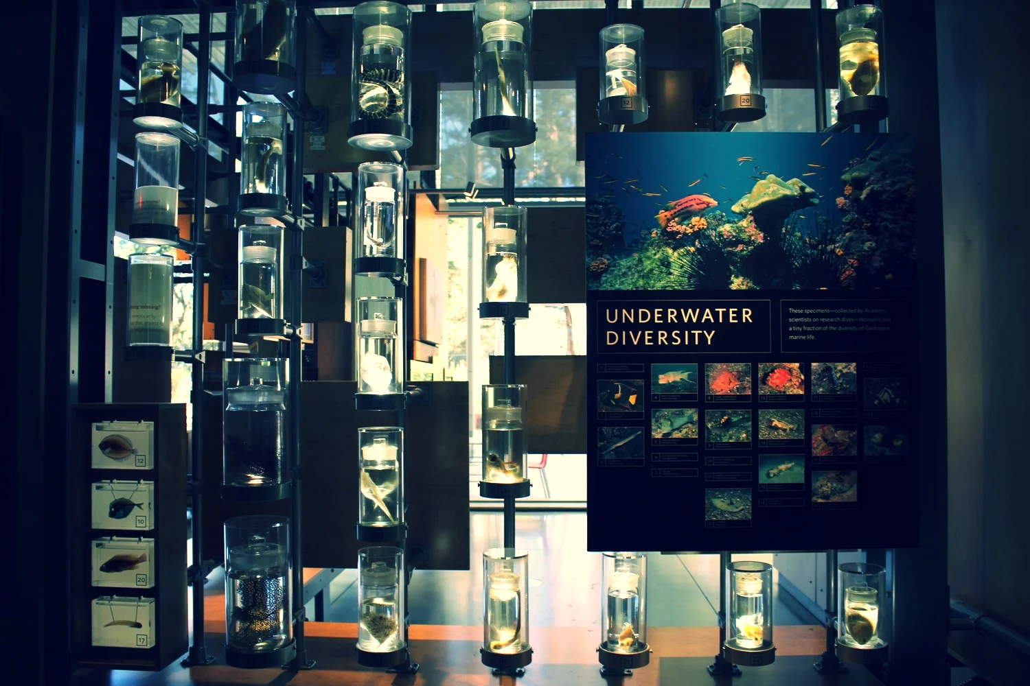 A random shot of one of the exhibits.