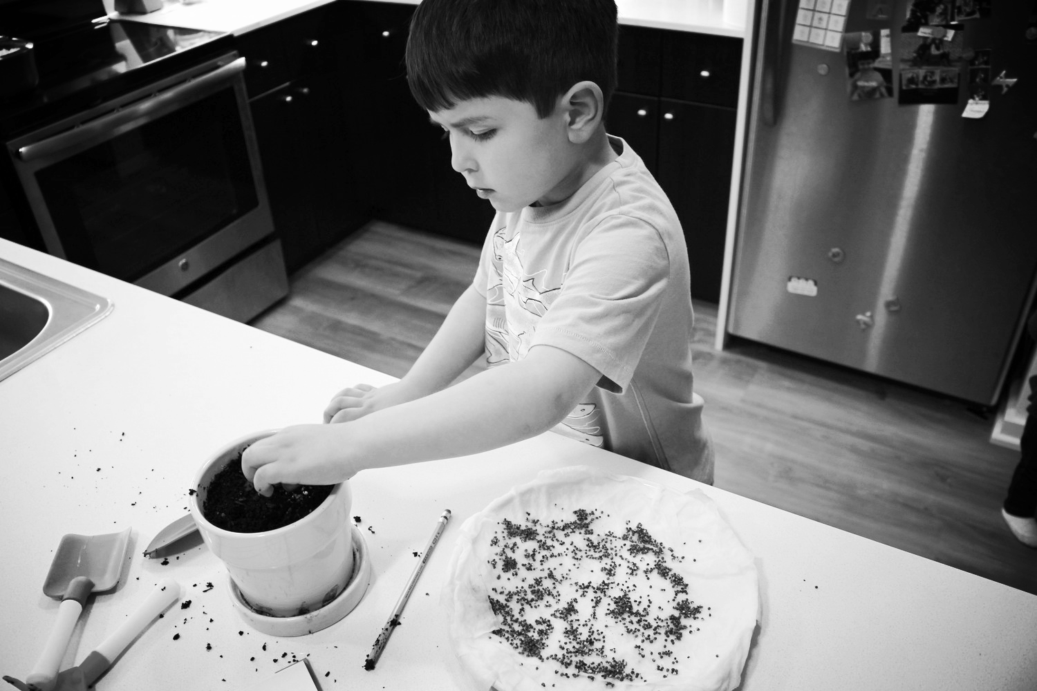 Pouring some seeds on each hole.