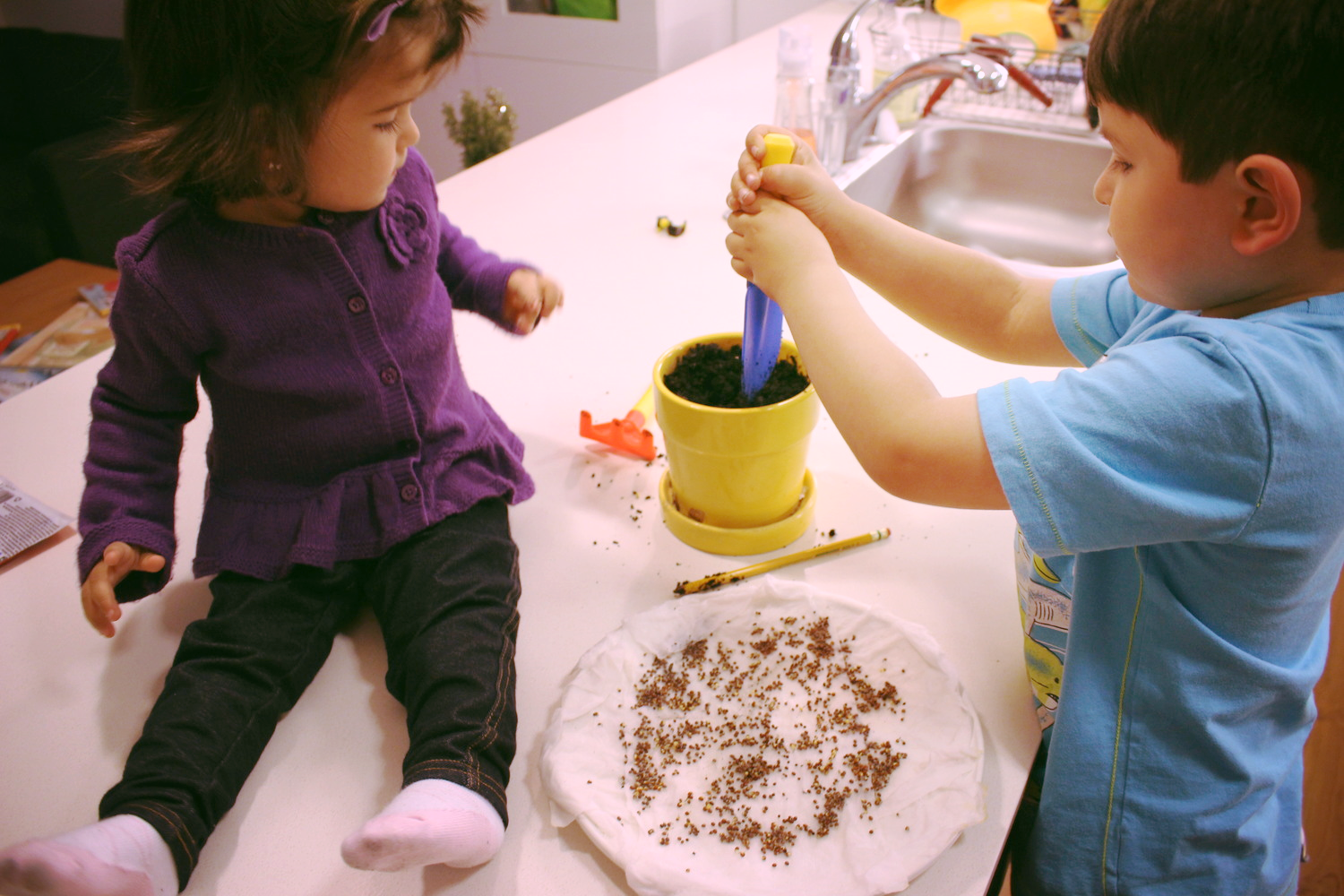 Setting the soil.