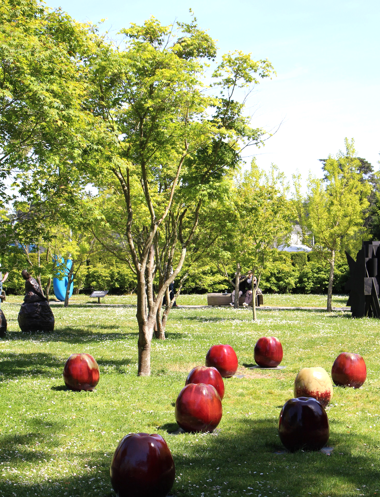 What if apples grew on the ground? How else would have Einstein figured out the theory of relativity? 