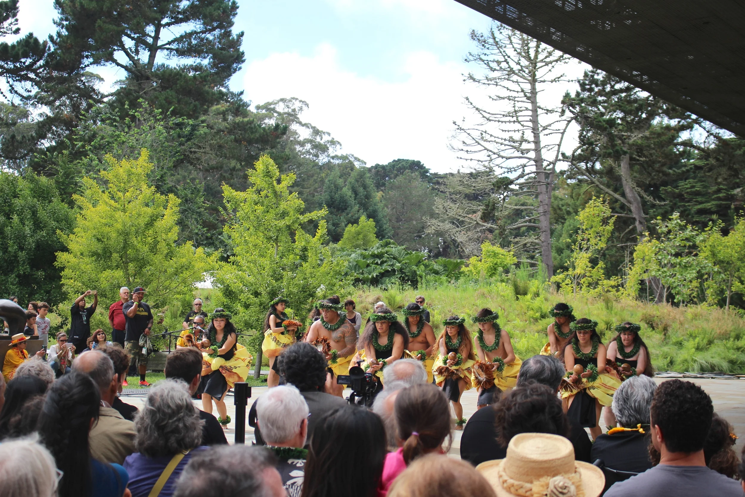 Wonderful performance!