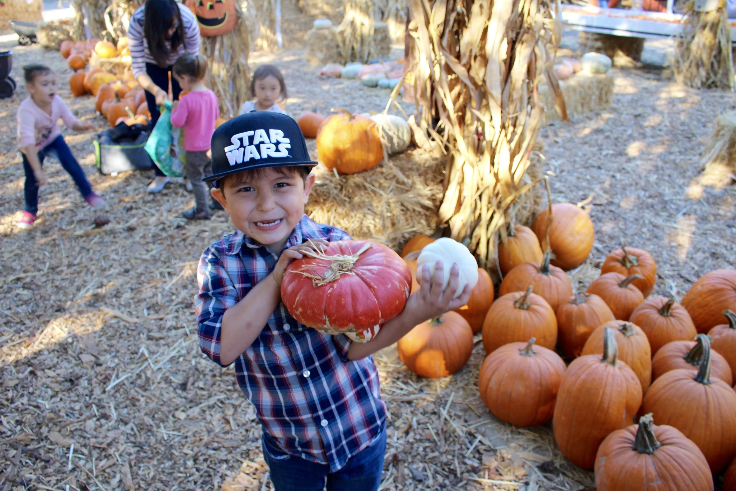 He was so excited to find different looking pumpkins.