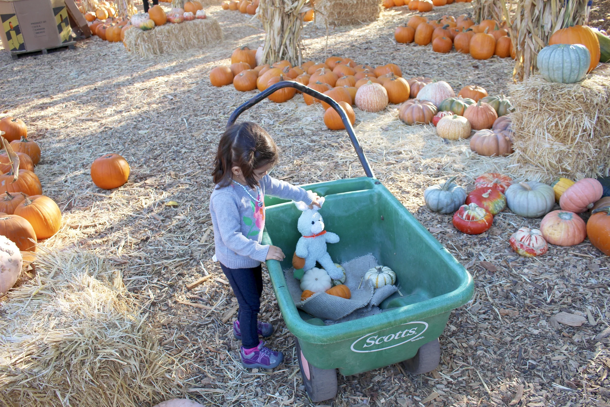 She fell in love with that rabbit( part of the patch decor).